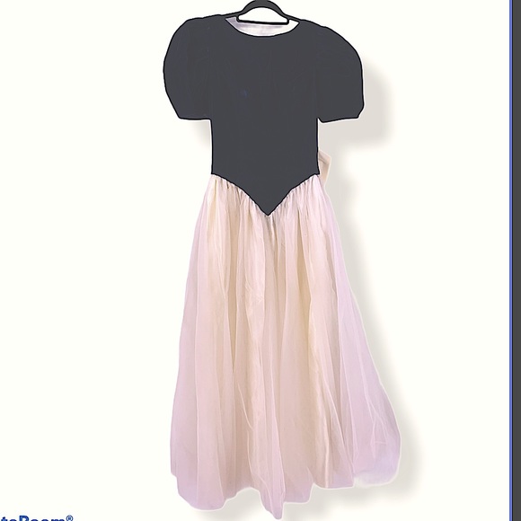 Vintage Dresses & Skirts - Vintage 1950s Cinderella dress blue white size 8